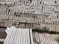 水泥杆 